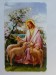 Ježíš s ovcema